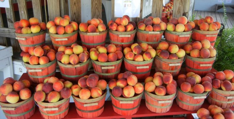 georgia peaches being sold in peach baskets on a red table